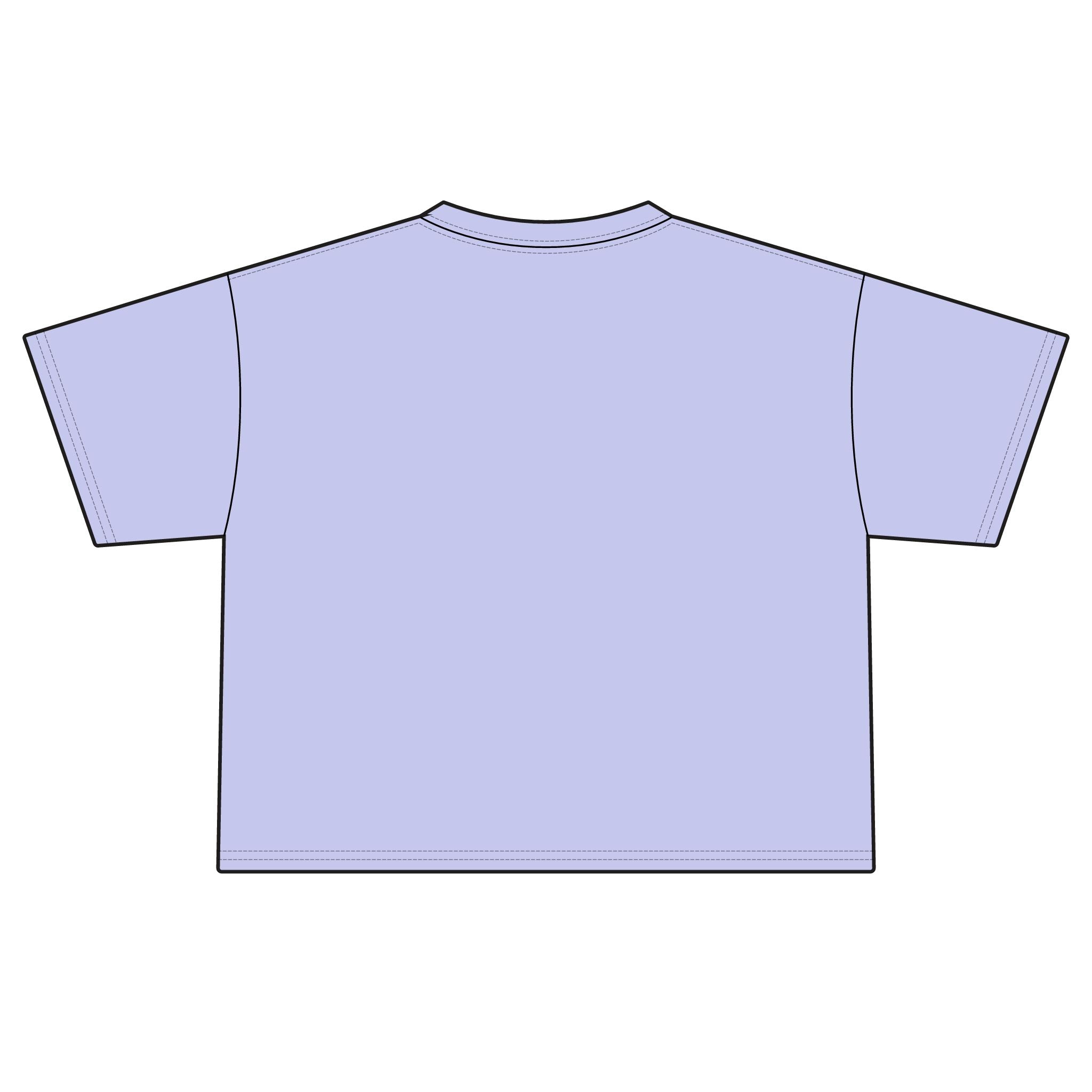 Sugar & Spice Crop Tee — Women's Boxy Vintage Script Shirt