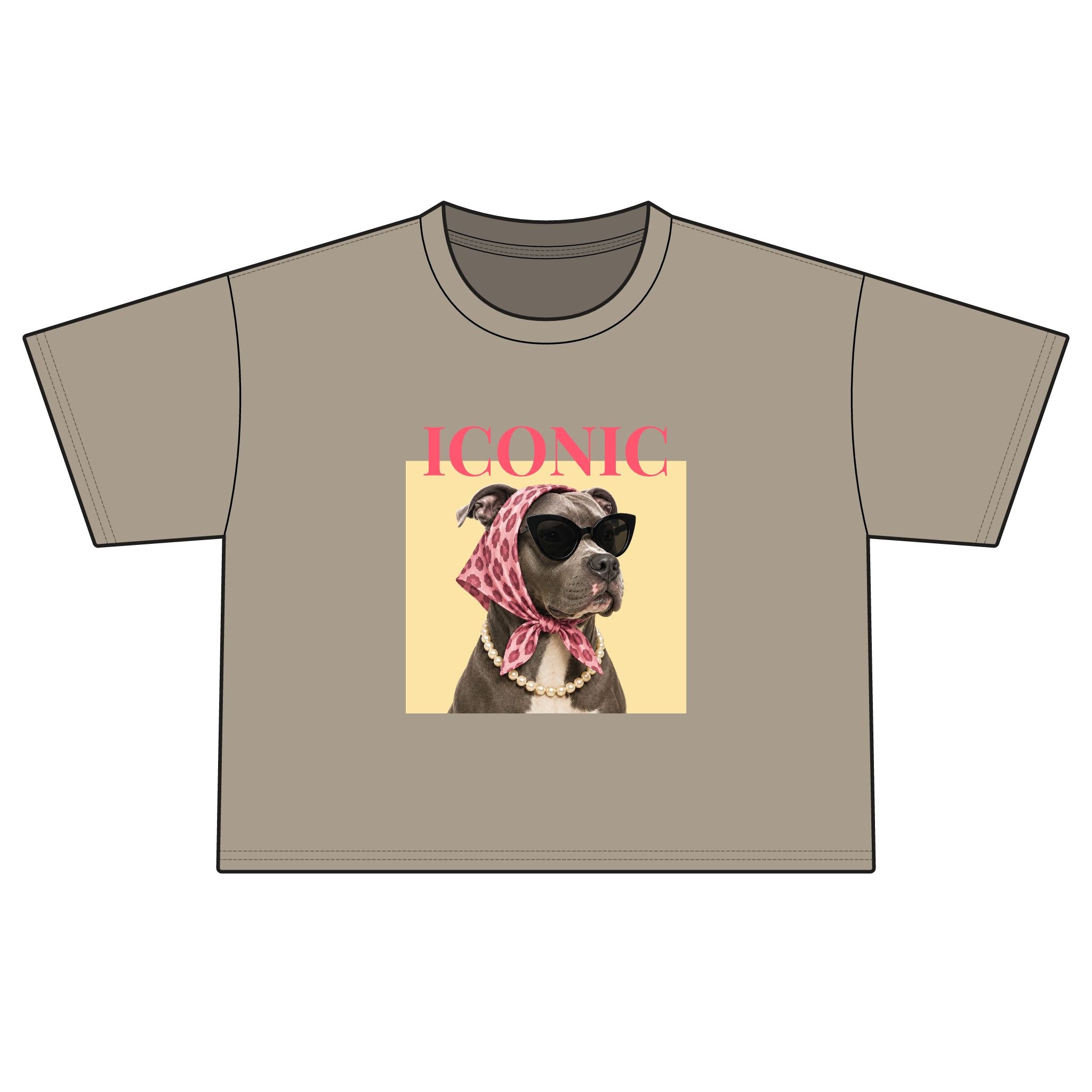 Iconic Dog Boxy Tee — Women's Vintage-Inspired Graphic Shirt
