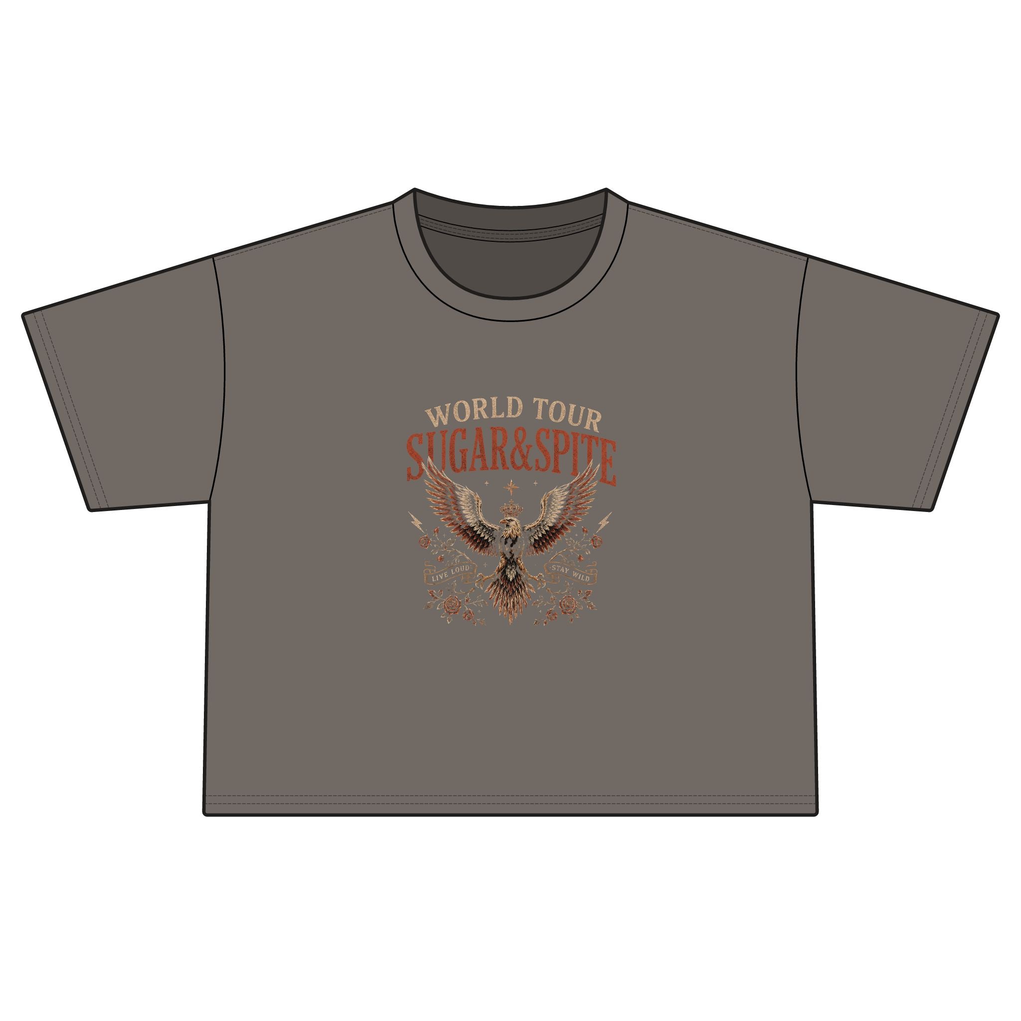 World Tour "Sugar & Spite" Eagle Tee — Vintage Rock Boxy T-Shirt