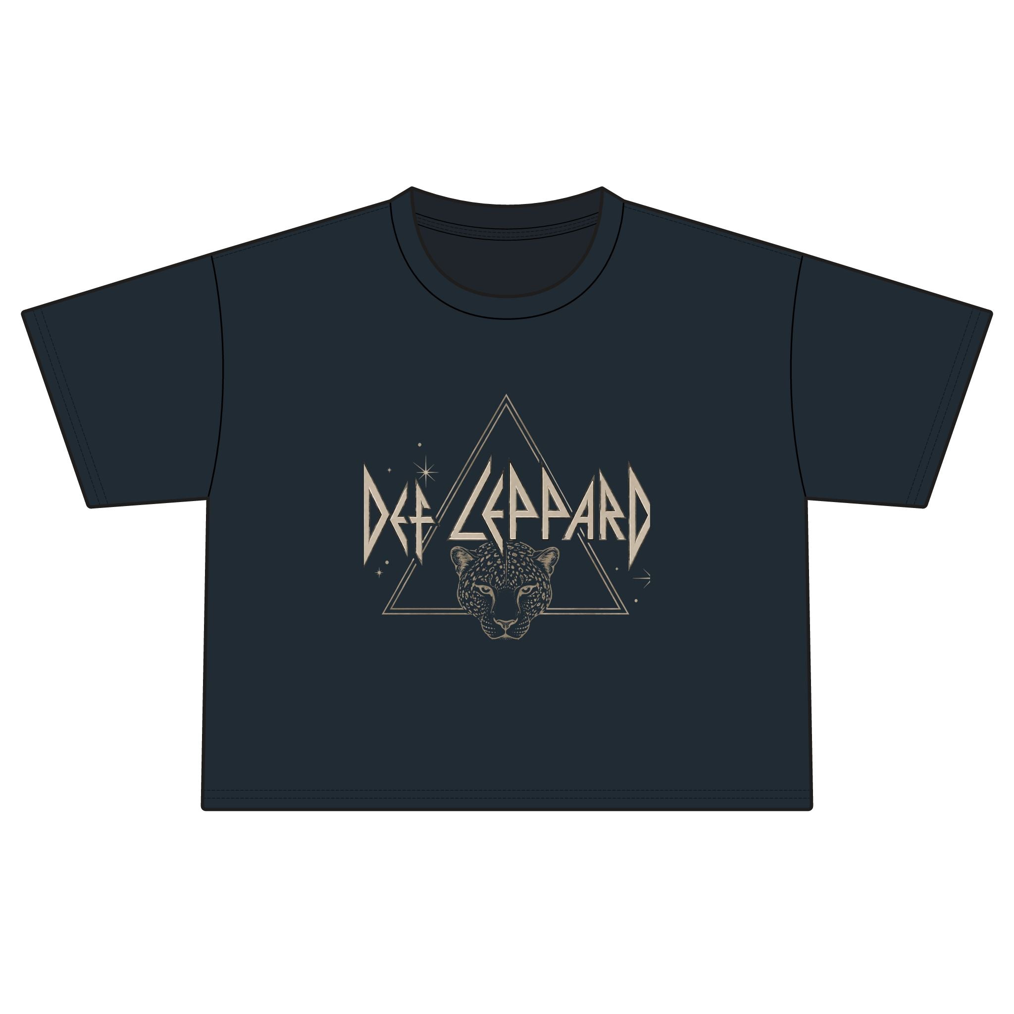 Vintage Band Boxy T-Shirt