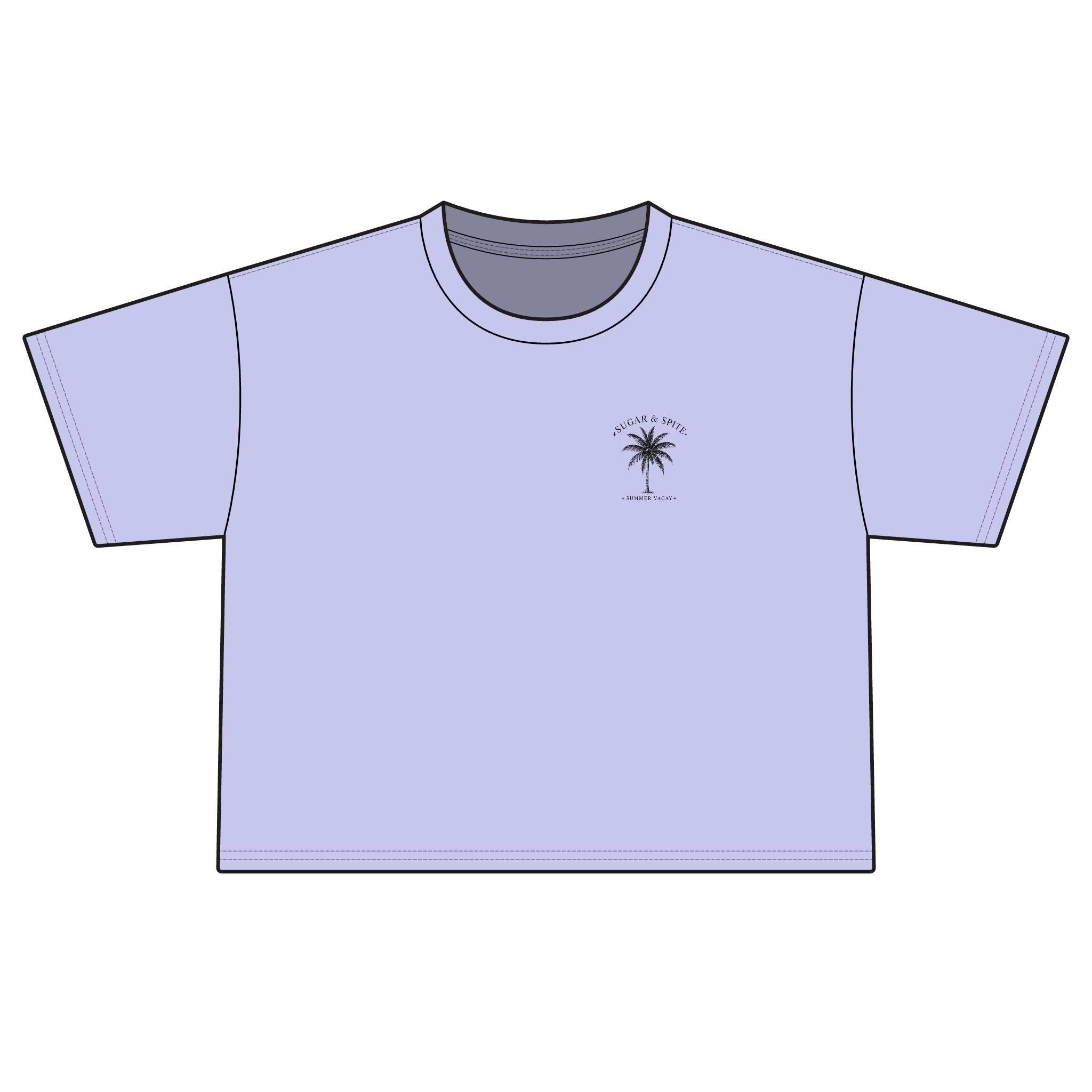 Sunshine State of Mind Boxy Tee